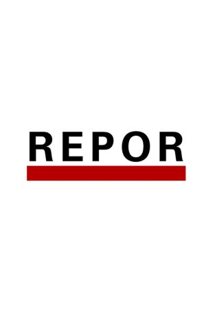 Repor: Del trote al galope Repor: Del trote al galope
