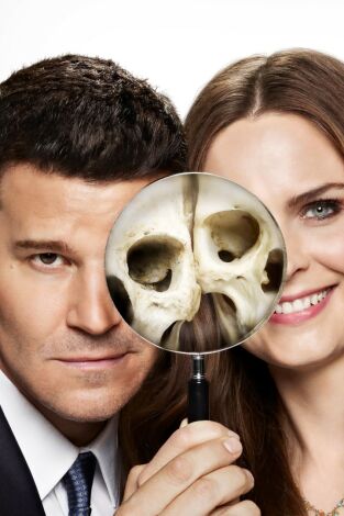 Bones (T8): Ep.11 El arqueólogo en el capullo Bones (T8): Ep.11 El arqueólogo en el capullo