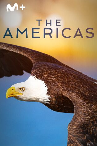The Americas: Cómo se hizo The Americas The Americas: Cómo se hizo The Americas