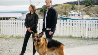 Hudson y Rex (T5): Ep.12 El club de las vidas perdidas Hudson y Rex (T5): Ep.12 El club de las vidas perdidas