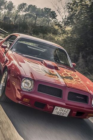 V8 Classic Trucks V8 Classic Trucks
