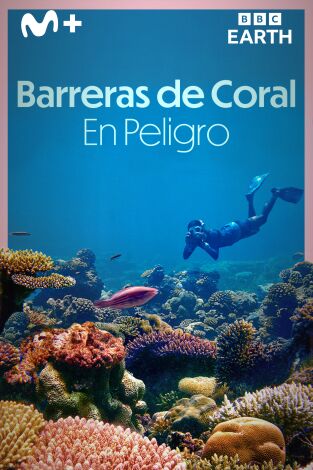 Barreras de coral en peligro Barreras de coral en peligro