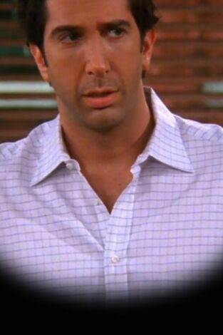 Friends (T9): Ep.6 El del niñero Friends (T9): Ep.6 El del niñero