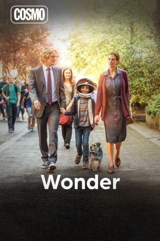 Wonder Wonder