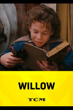 Willow Willow