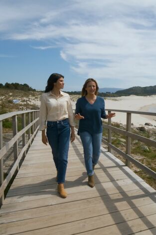 Desmontando Galicia Desmontando Galicia