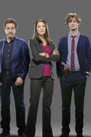 Mentes criminales (T12): Ep.10 Búsqueda y destrucción Mentes criminales (T12): Ep.10 Búsqueda y destrucción
