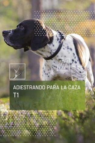 Adiestrando para la caza: Adiestramiento avanzado en campo