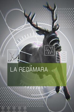 La recámara: Caza de alta montaña
