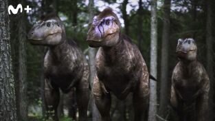 Caminando entre dinosaurios: El viaje al norte del Pachyrhinosaurus