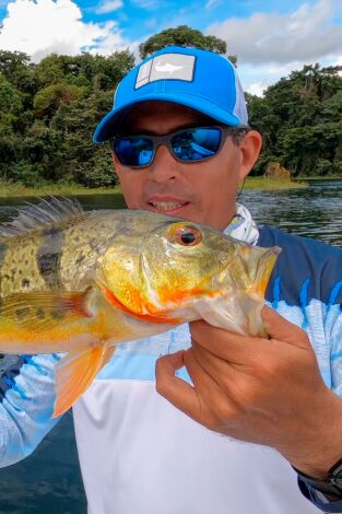 American Fishing: Gatún Panamá American Fishing: Gatún Panamá