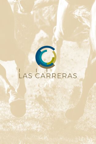 Carreras de Caballos- Turf (T2025): 17/07/2025 Hipódromo de la Zarzuela
