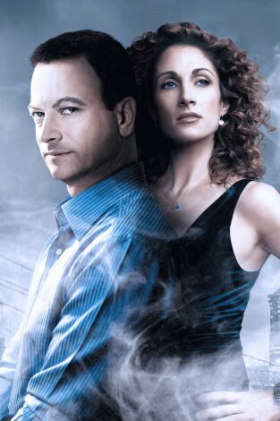 C.S.I. NY (T1): Ep.10 Buenas Noches Madre