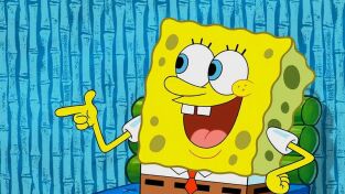 Bob Esponja Single Story (T11): Ep.9 Fotos no, por favor