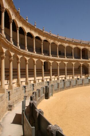 Novillada: Desde Las Navas de San Juan (Jaén) Novillada: Desde Las Navas de San Juan (Jaén)