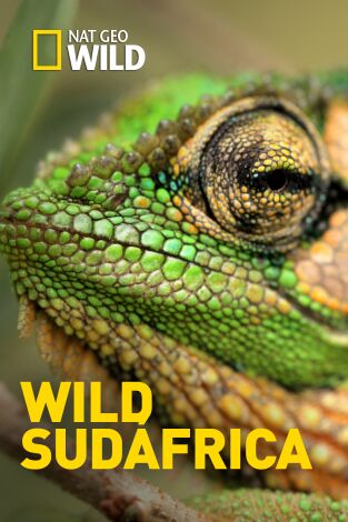 Wild Sudáfrica: Choque de corrientes