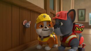 Equipo Rubble (T1): Ep.3 El equipo construye una heladería/ El equipo encuentra un ratón