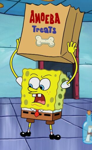 Bob Esponja Single Story (T11): Ep.2 El susurrador de almejas