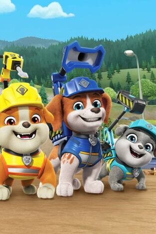 Equipo Rubble (episodios individuales) (T1): Ep.26 El equipo construye una rampa para sillas de ruedas