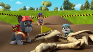 Equipo Rubble (T1): Ep.13 El equipo construye un museo de dinosaurios / El equipo construye una rampa para sillas de ruedas