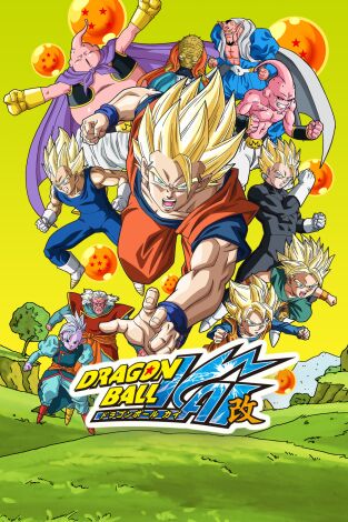 Dragon Ball Z Kai (T2): Ep.17 La trampa del malvado brujo Babidi y el rey demoníaco Dabra Dragon Ball Z Kai (T2): Ep.17 La trampa del malvado brujo Babidi y el rey demoníaco Dabra