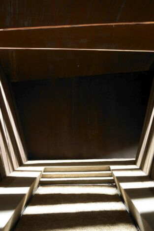 Animals arquitectes: LaCol