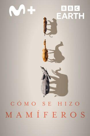 Cómo se hizo Mamíferos: Episodio 1 Cómo se hizo Mamíferos: Episodio 1