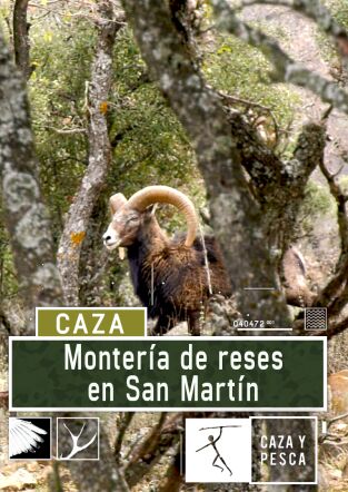 Montería de reses en San Martín Montería de reses en San Martín