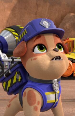 Equipo Rubble (T1): Ep.17 El equipo construye un observatorio / El equipo construye una tirolina Equipo Rubble (T1): Ep.17 El equipo construye un observatorio / El equipo construye una tirolina