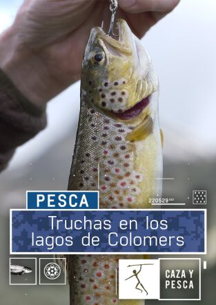 Truchas en los lagos de Colomers Truchas en los lagos de Colomers