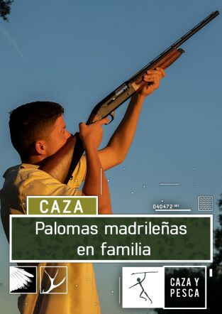 Palomas madrileñas en familia Palomas madrileñas en familia