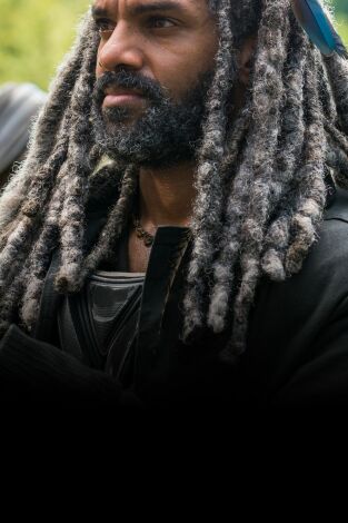 The Walking Dead (T7): Ep.10 Nuevos mejores amigos The Walking Dead (T7): Ep.10 Nuevos mejores amigos