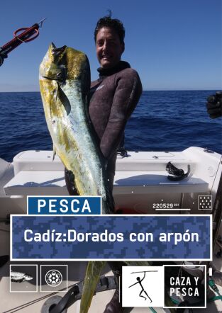 Cádiz, dorados con arpón Cádiz, dorados con arpón