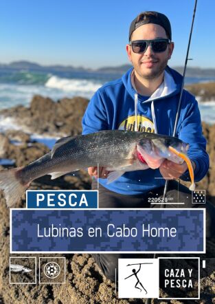 Lubinas en Cabo Home Lubinas en Cabo Home