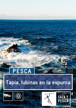 Tapia, lubinas en la espuma Tapia, lubinas en la espuma