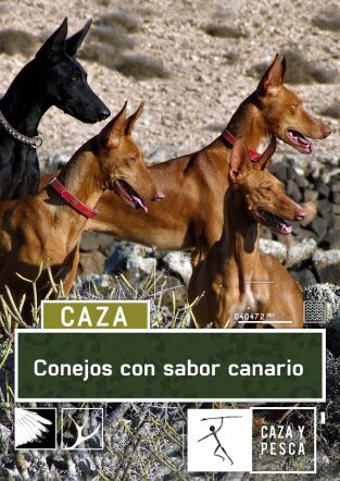 Conejos con sabor canario Conejos con sabor canario