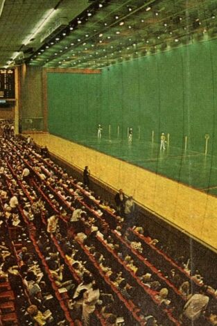Jai Alai Blues