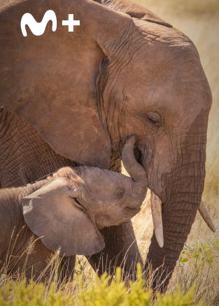 Parenthood: Episodio 5
