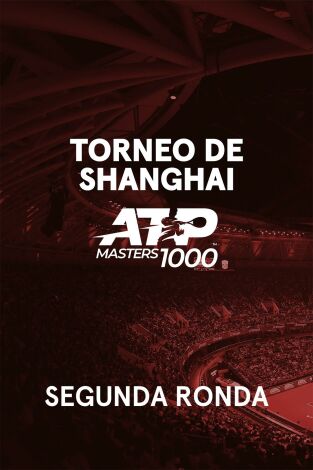 Torneo de Shanghai (T2025): Altmaier - Sinner
