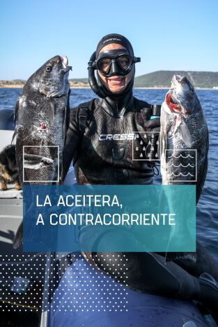 La Aceitera, contra corriente
