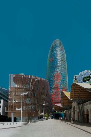 Icones: Mercat de Santa Caterina: estrats d'història