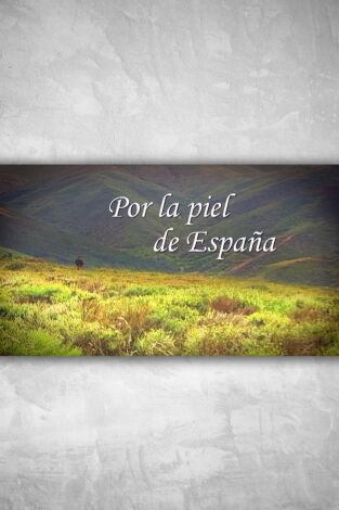 Por la piel de España: Pedraza, Sepúlveda y otros lares