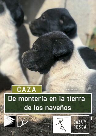 De Montería en la tierra de Los Naveños