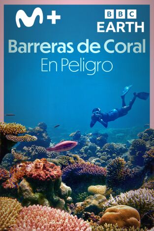 Barreras de coral en peligro