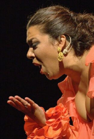 Lo Flamenco Lo Flamenco