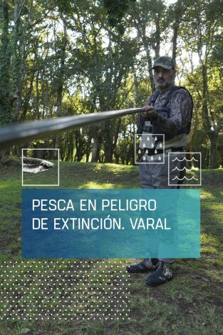 Pesca en peligro de extinción: Varal Pesca en peligro de extinción: Varal