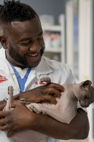 Critter Fixers: Veterinarios rurales: Felinos felices Critter Fixers: Veterinarios rurales: Felinos felices