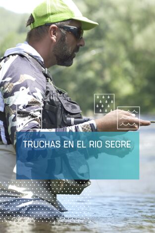 Truchas en el río Segre Truchas en el río Segre