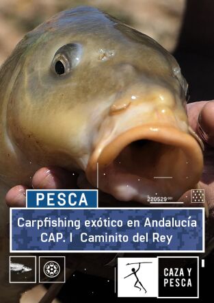 Carpfishing exótico en Andalucia: Conde de Guadalhorce