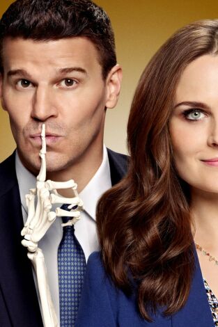 Bones (T9): Ep.17 El cobrador en la fosa séptica Bones (T9): Ep.17 El cobrador en la fosa séptica